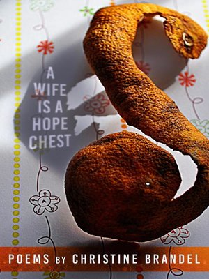cover image of A Wife Is a Hope Chest